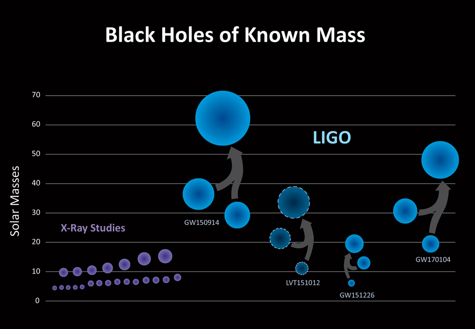 Black holes of known mass