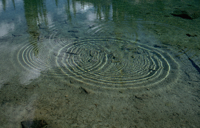 Interference patterns in water