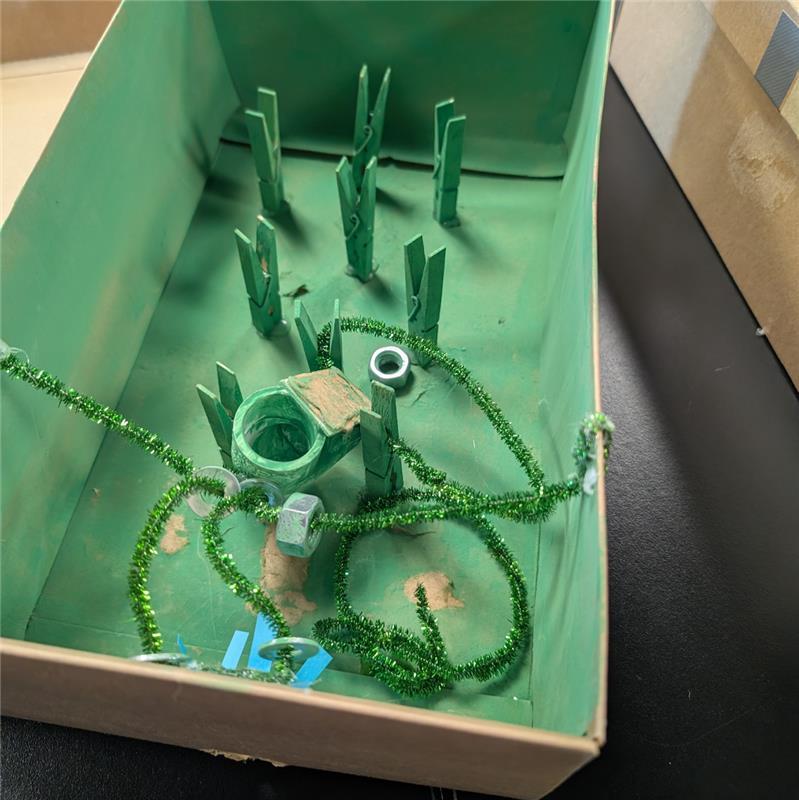 Nature of Science: Mystery Boxes